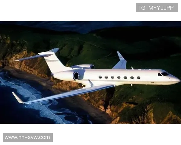 足球球星与私人飞机合影引关注 飞行与绿茵场的完美碰撞