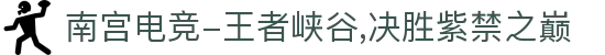 南宫电竞-王者峡谷,决胜紫禁之巅